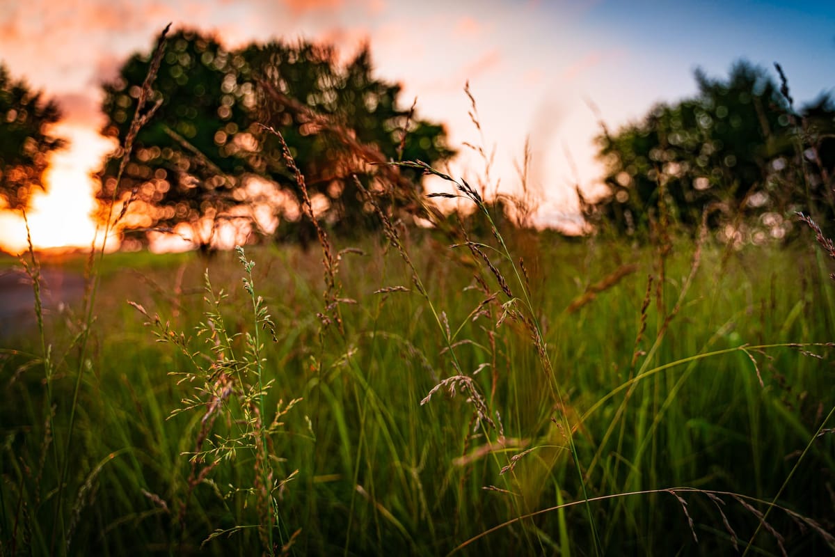 Erwin Park Ambient Film