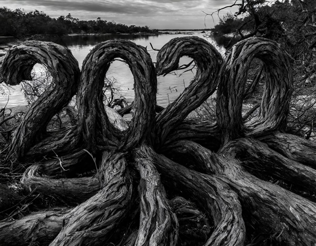 2020's Most-Interesting Photos